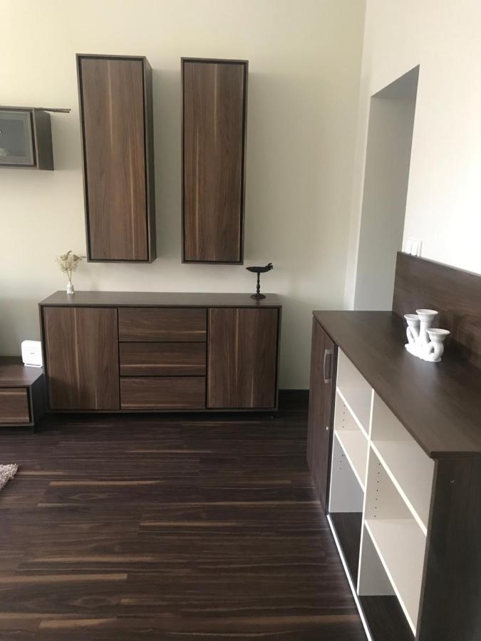 Apartman U Kolonady Karlovy Vary Dış mekan fotoğraf